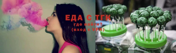 крисы Чердынь