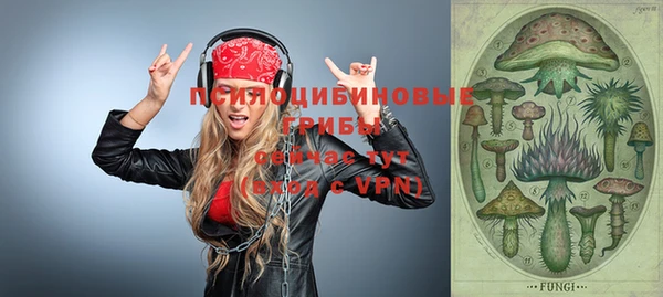 jwh Вяземский