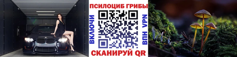 Псилоцибиновые грибы Magic Shrooms  Купить закладки  Новоалтайск 